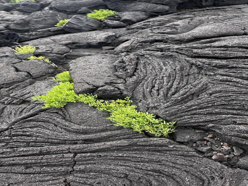 Cool lava formations