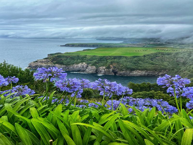 Sao Miguel from road lookout