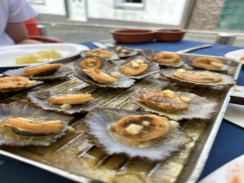 Limpets in garlic butter