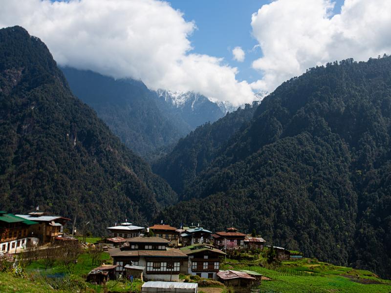 Closer to Gasa