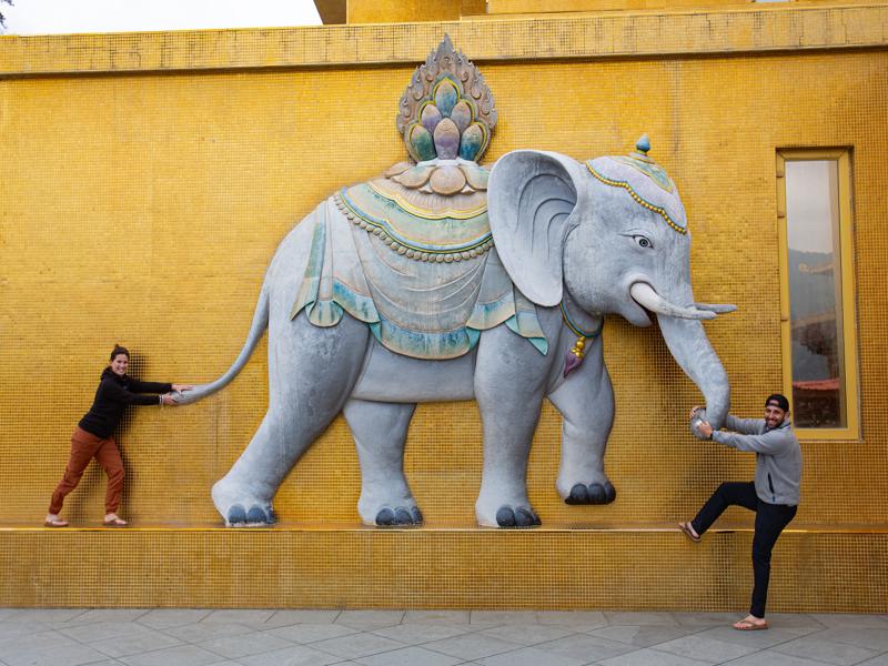 Herding an elephant