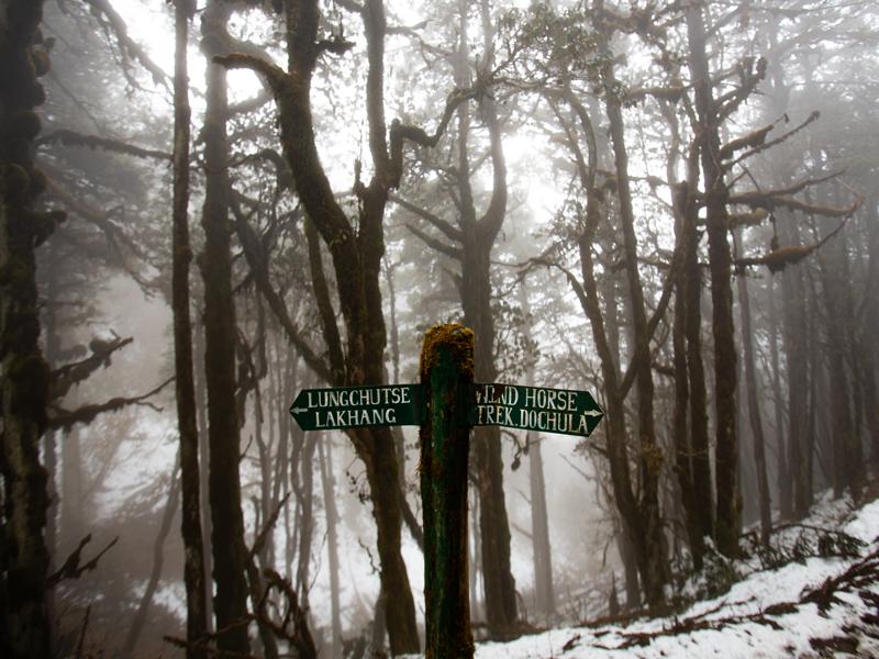 Hike signpost