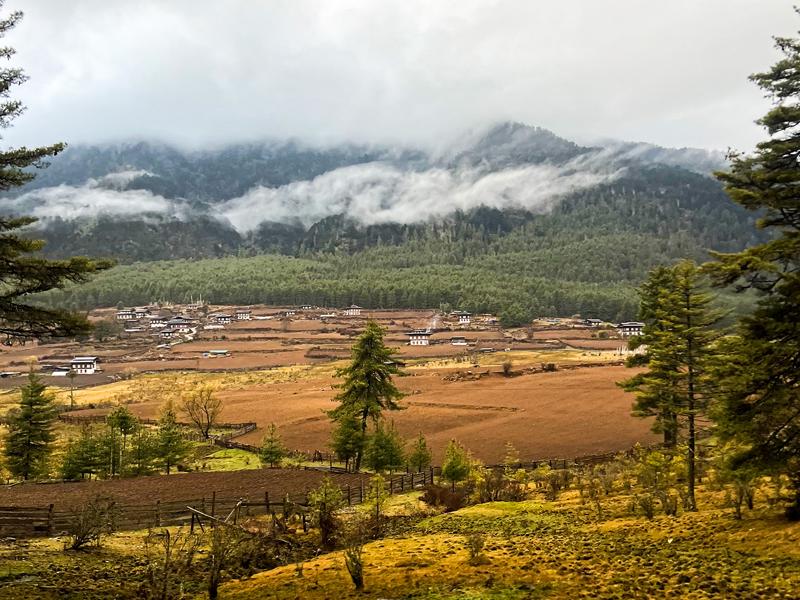Valley view