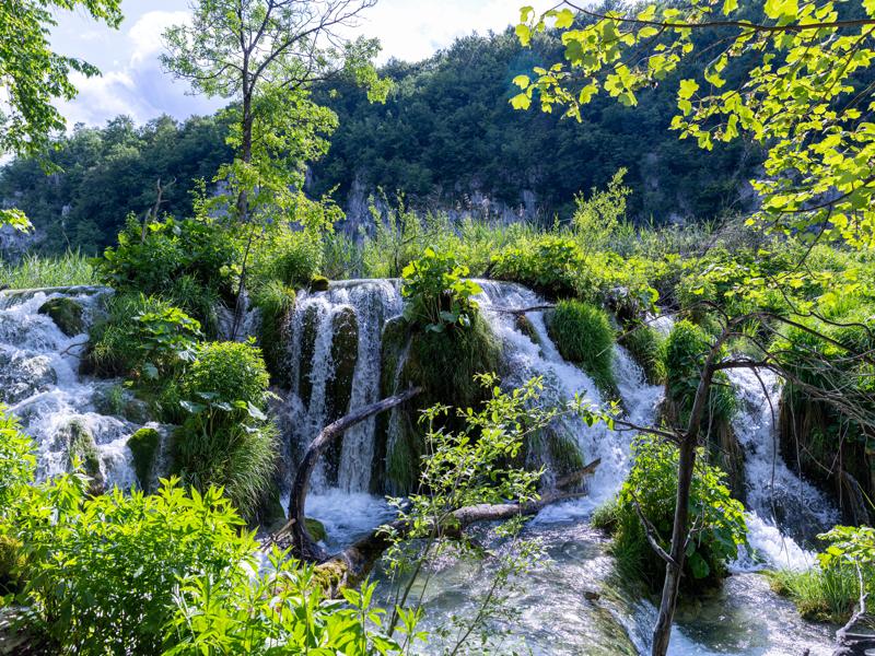 Our first evening we walked the lower lakes loop in Plitvice National Park