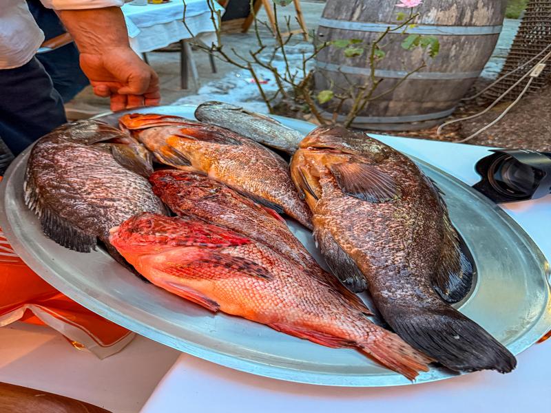 Choosing our fish at dinner