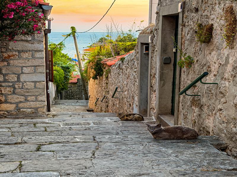 We made our way down into the Old town, greeted by cats
