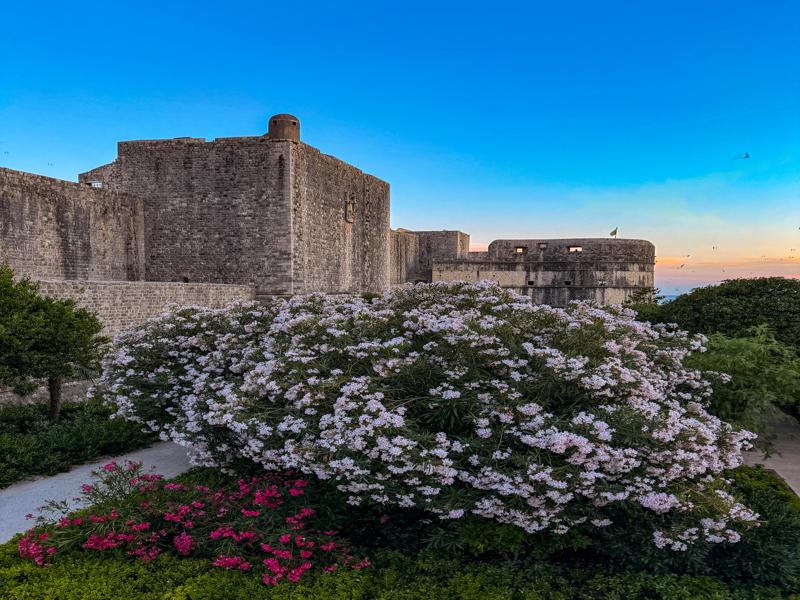 The city walls