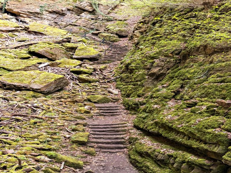 Rock stairs through the canyon