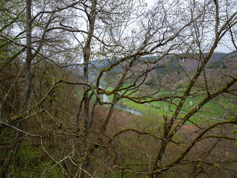 Views from the hike