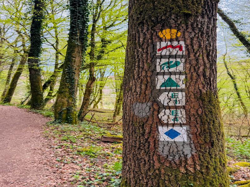 There were a lot of trail options!