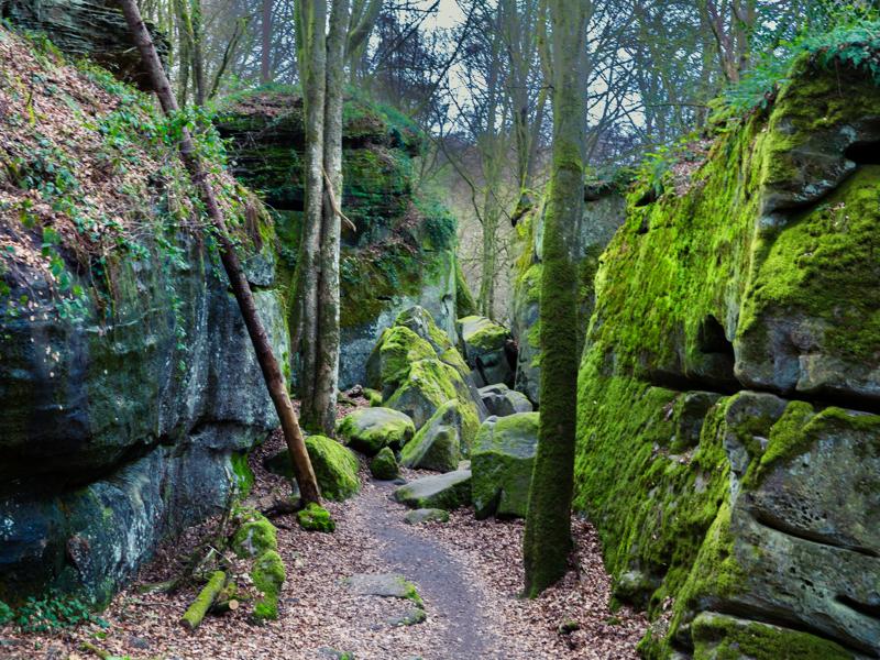Hiking through the mossy rocks