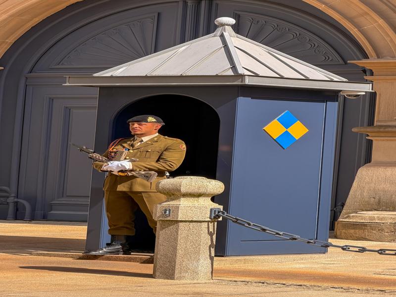 Guard at the palace