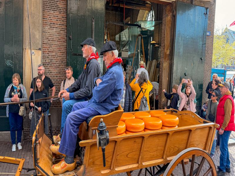 Loading up cheese at the Gouda market