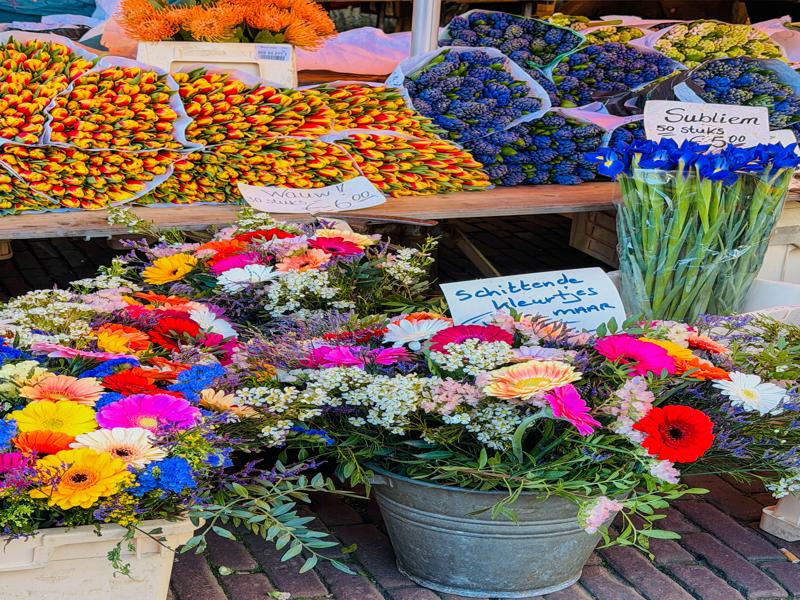 More flowers