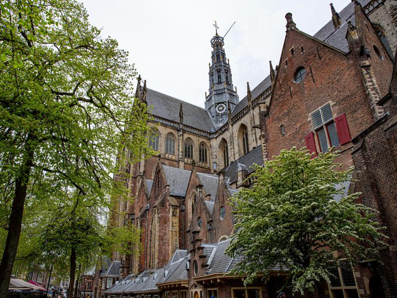 The Haarlem Cathedral St Bavo