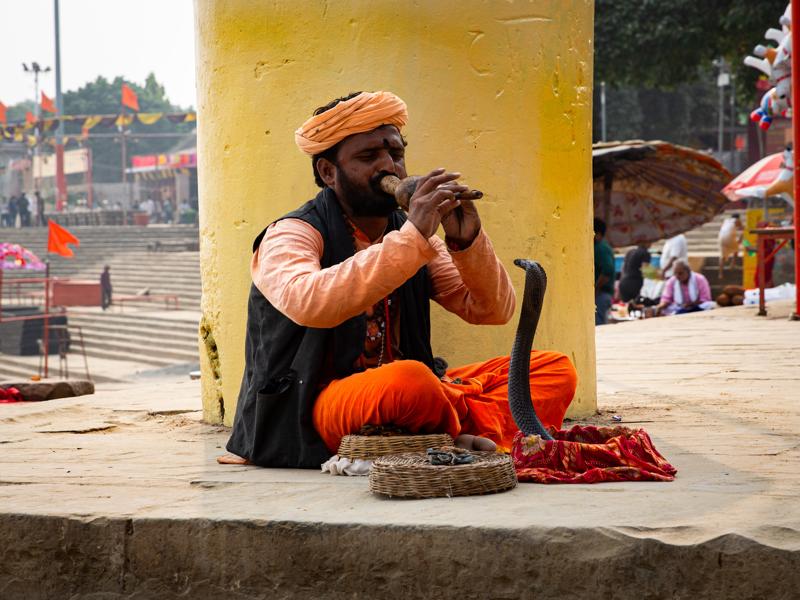 Snake charmer at Assi Ghat