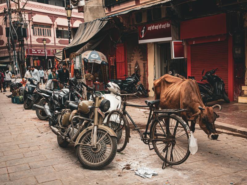 Motorcycles on streets of Varanasi