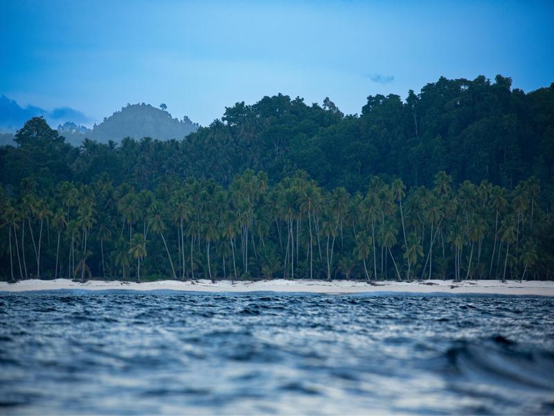 Views from the boat