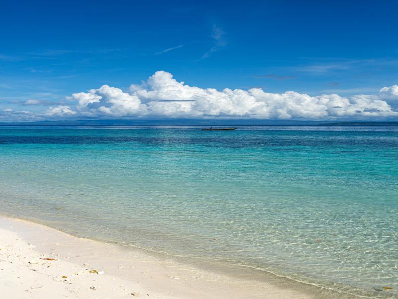 Enjoying the beach