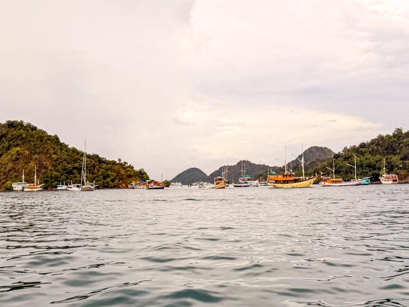 There were a lot of boats in the marina