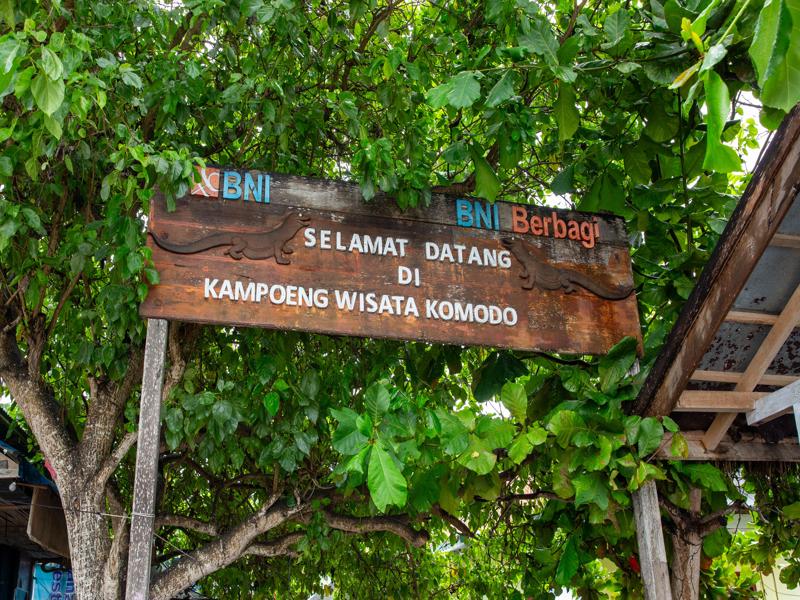 Next up was a visit with the Komodo Dragons