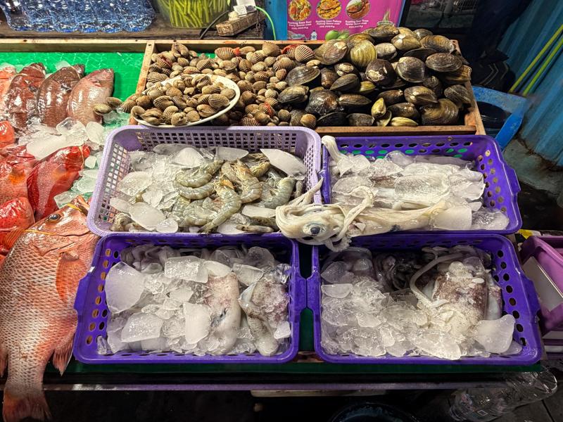 Squid, shrimp and clams for sale