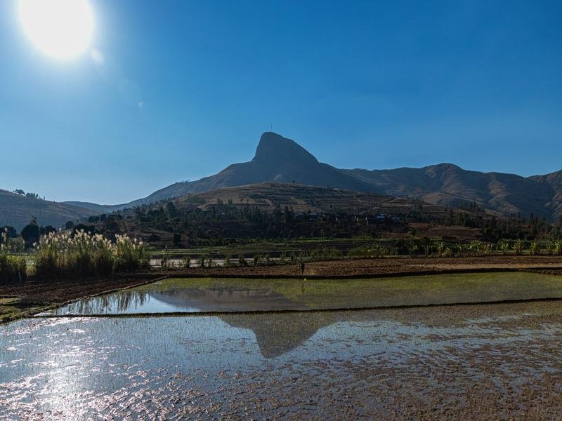The next morning we spent 3 hours getting to Andringitra National Park