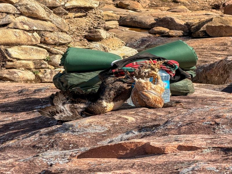 We had porters to carry equipment and food including these live chickens and duck