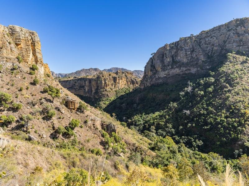 Finally we reached a deep and lush canyon