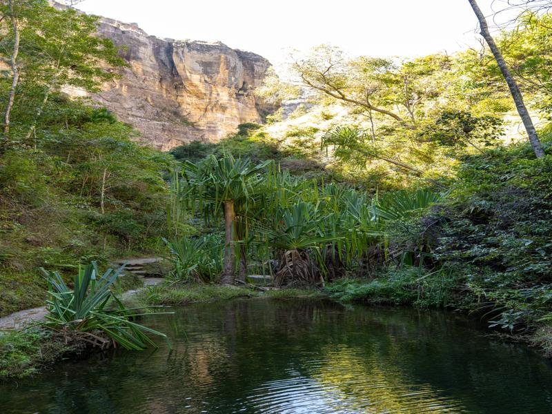 The trail through the canyon