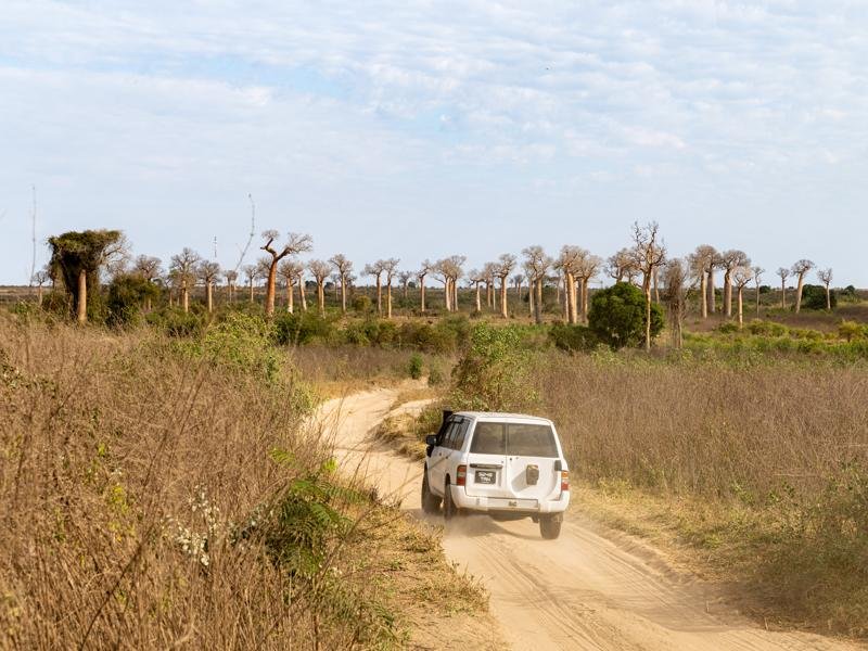 Entering baobab territory
