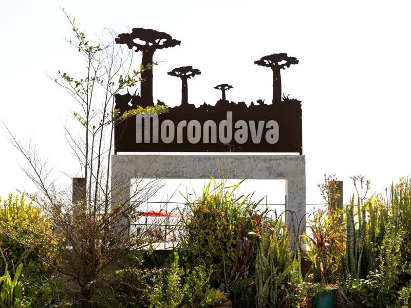 Welcome to Morondava, our last destination in Madagascar