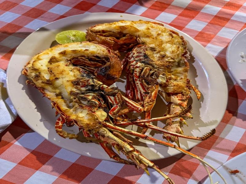 Lobster for our last dinner in Morondava