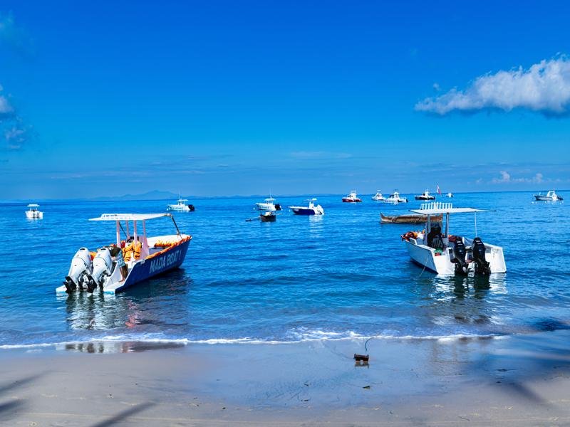 Boats waiting for day trips