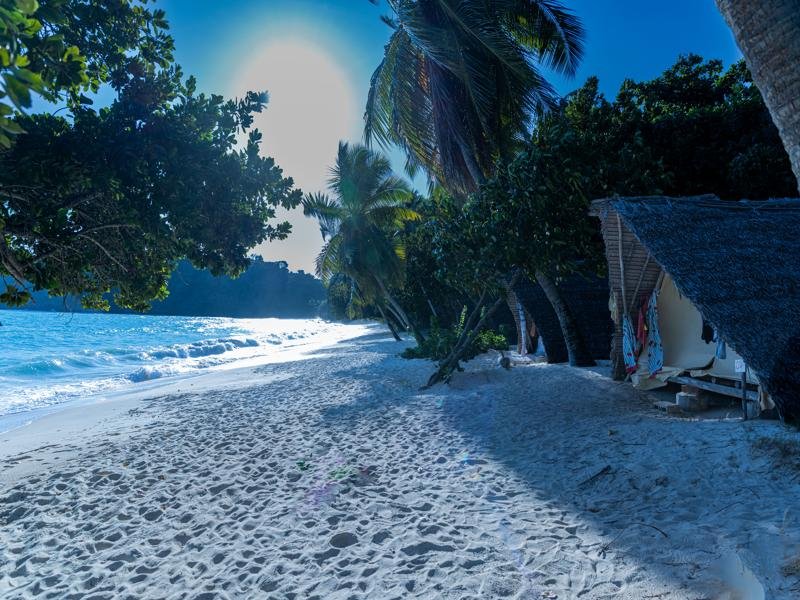 They were on a beautiful quiet beach