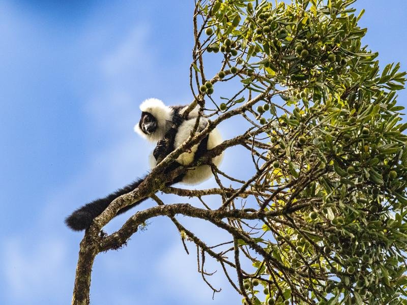 Our next stop was Ranomafana National Park