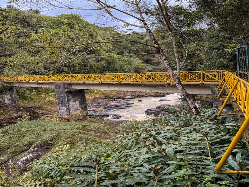 Crossing the bridge into the park