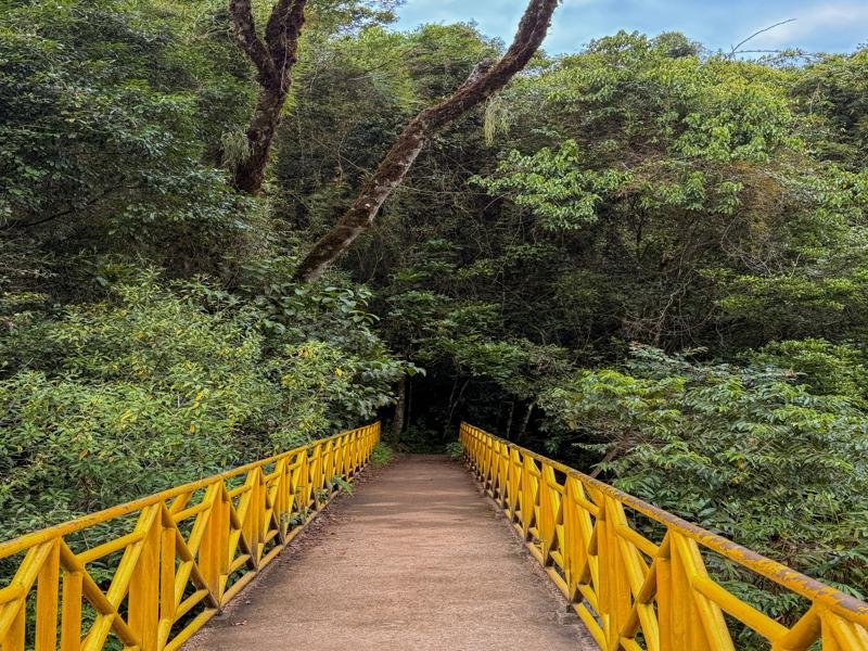 The environment here is much more jungle