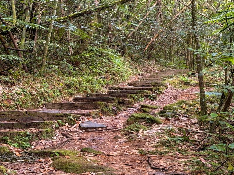 Part of the park trail