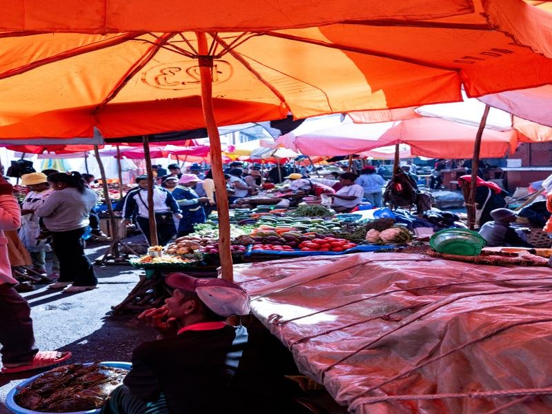 The Antananarivo market