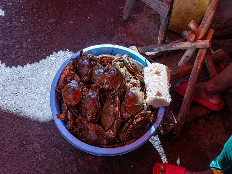 Fresh crabs for sale