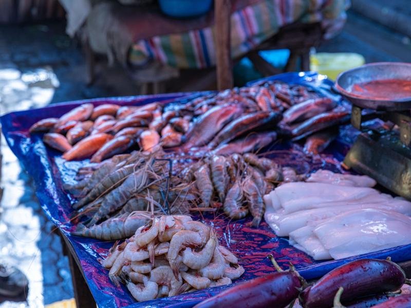 Shrimp, squid and fish