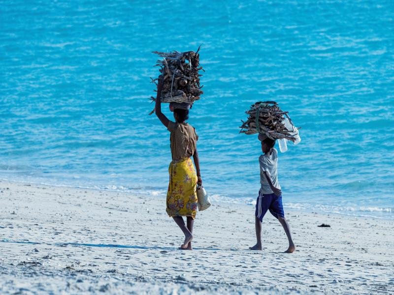 Locals carrying firewood