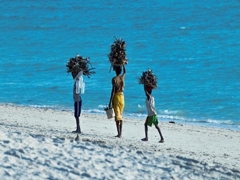 Locals carrying firewood