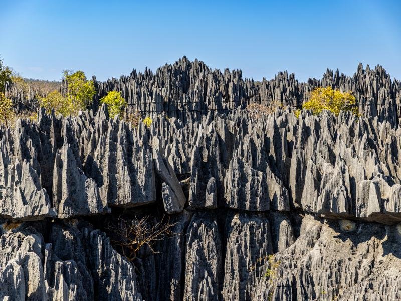 The weathered limestone spires of Tsingy