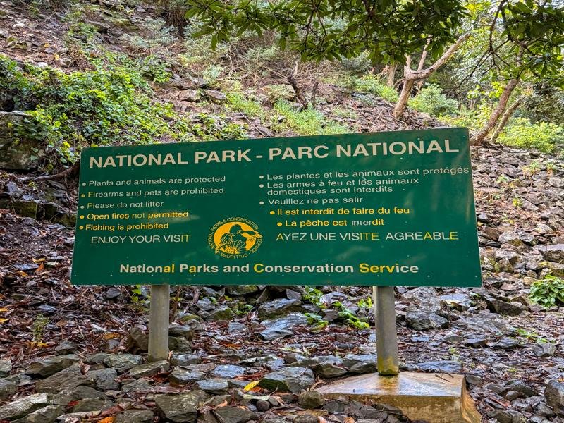 The Black River Gorges National Park