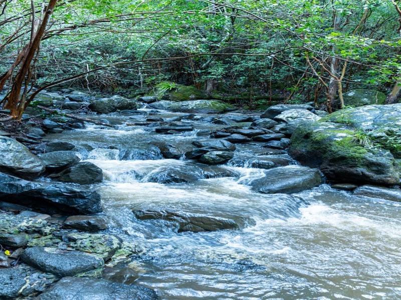 And the Black River