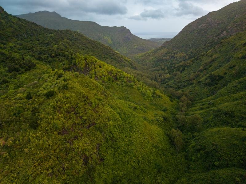 Looking back on what we hiked through
