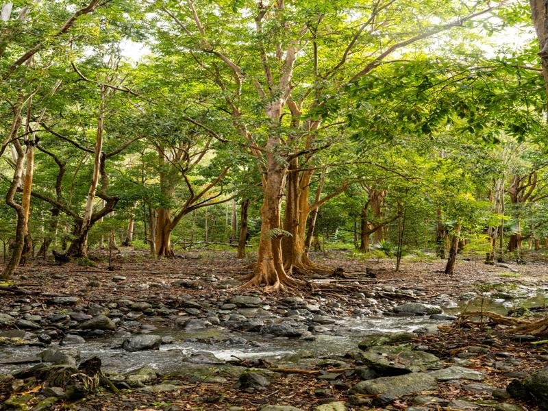 Small creek near the parking area
