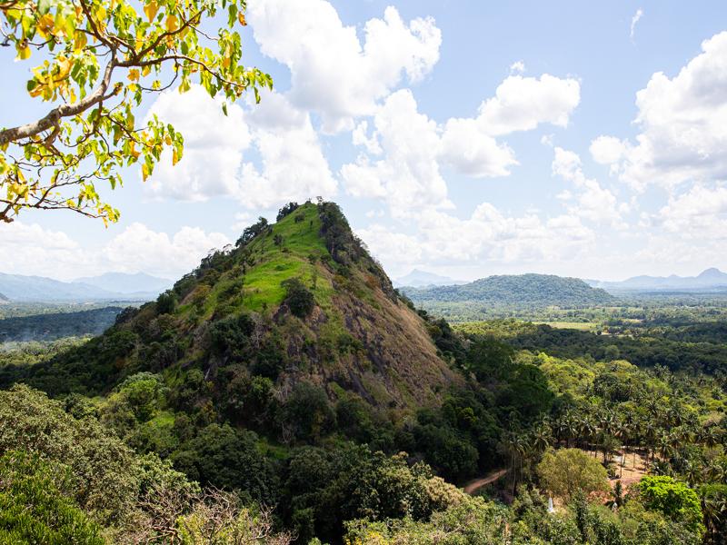 View of the surrounding area